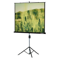 Проекционный экран Lumien Master View 244x244 MW FiberGlass (LMV-100105)