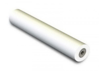 Рулонная бумага для плоттера с покрытием Xerox InkJet Monochrome 80 г/м2, 0.594x100 м, 50.8 мм (450L97058)