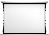Проекционный экран Classic Premier Leo-R (16:9) 255x177 (E 235x132/9 HG-XR/W)