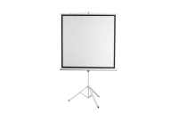 Проекционный экран Digis DSKD-1106 (200х200 см), 112", MW