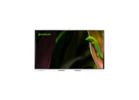 Интерактивная панель Geckotouch Interactive 86SR