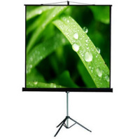 Проекционный экран ViewScreen Clamp Pro 171x128 (4:3) (TCP-1107)