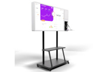 Интерактивная панель BM Storm S Mini с документ-камерой, 43"