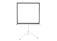 Проекционный экран Sakura Cinema Triscreen MW 100" 180x180 см (серый корпус)
