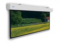 Проекционный экран Projecta Elpro Large Electrol 378x500 см Matte White (10100330)
