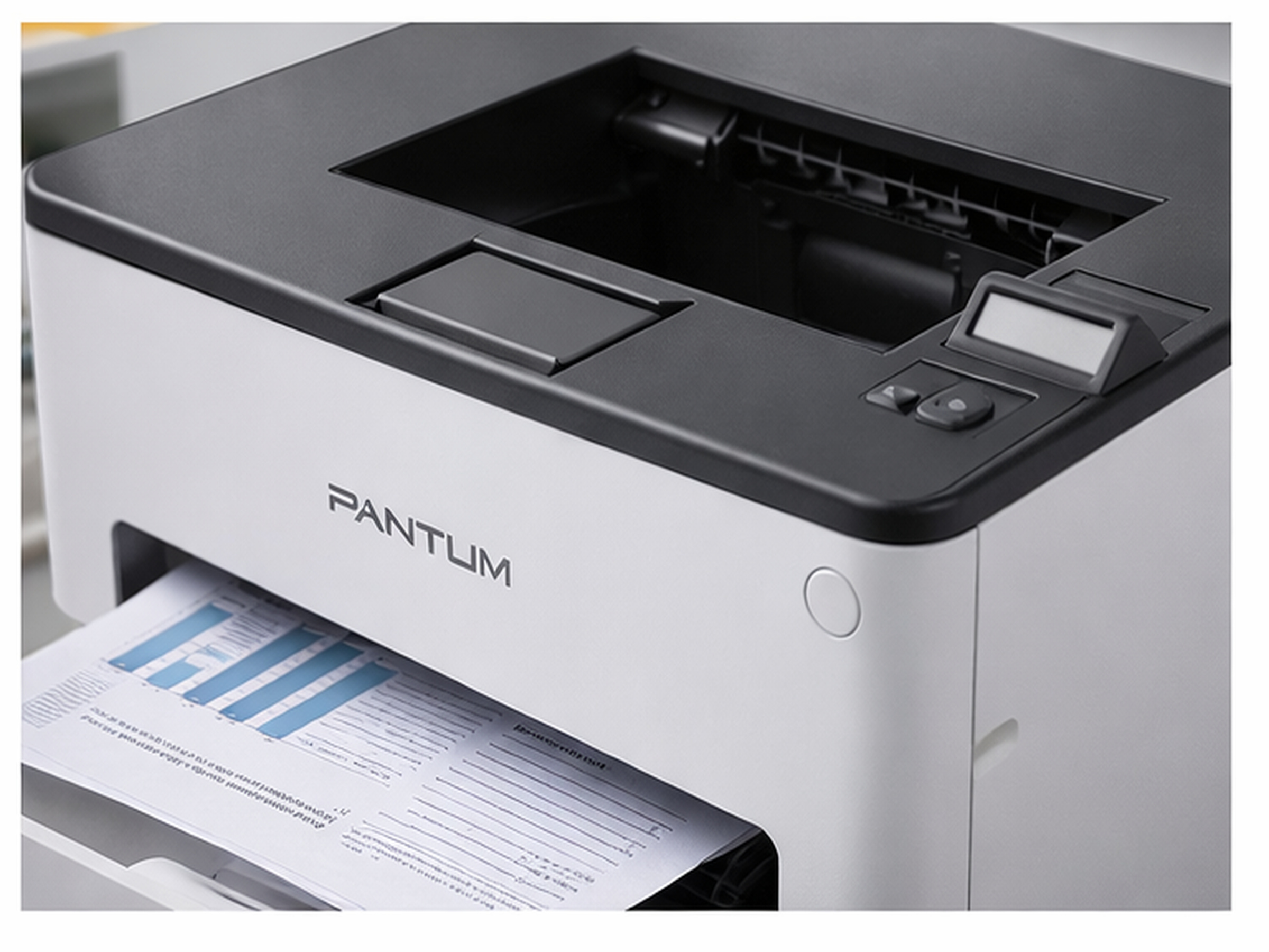 Принтер Pantum P3010D