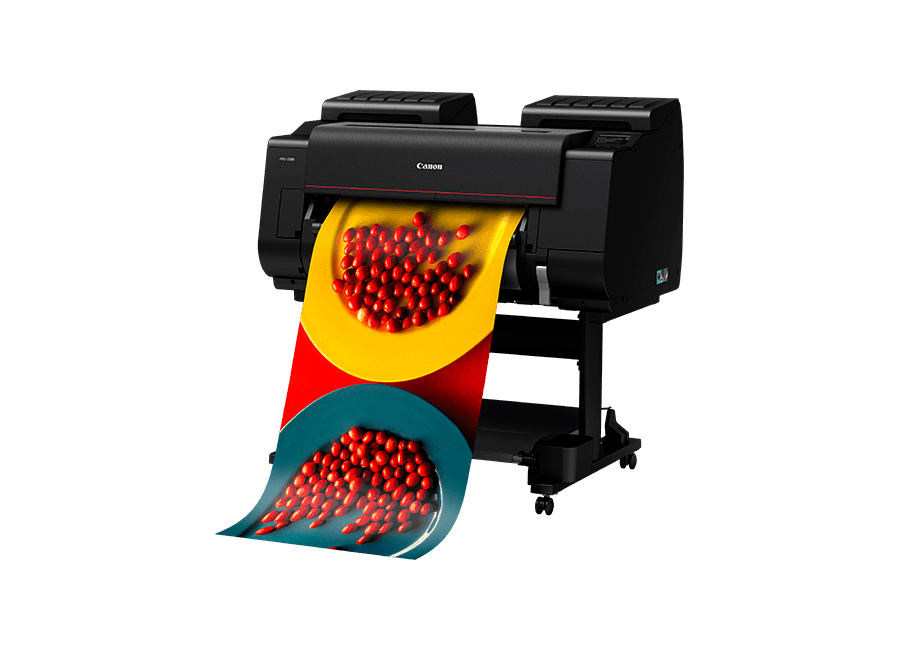 Струйный плоттер Canon imagePROGRAF PRO-2100 (3867C003)