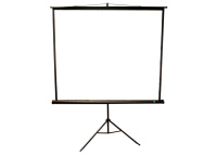 Проекционный экран Sakura Cinema Triscreen MW 100" 180x180 см (чёрный корпус)