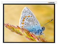 Проекционный экран Lumien Master Picture 259x400 см (LMP-100126)