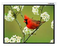 Проекционный экран Lumien Master Picture 139x240 MW (LMP-100116)
