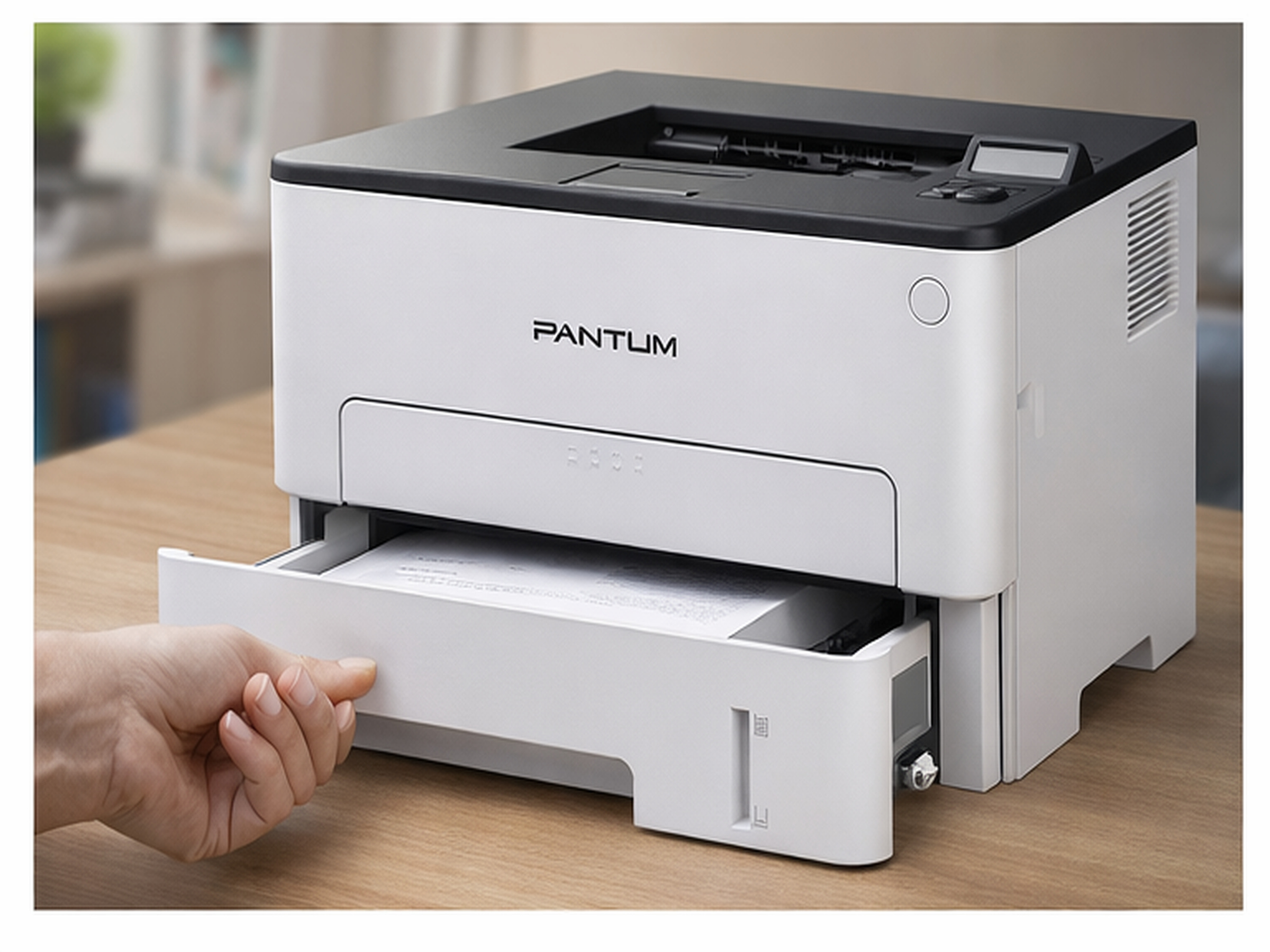 Принтер Pantum P3010D