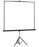 Проекционный экран Projecta Professional 152x152 Matte White (48753)