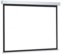 Проекционный экран Projecta ProScreen 240x139 Matte White (10200023)