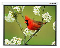 Проекционный экран Lumien Master Picture 139x240 MW (LMP-100116)
