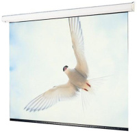 Проекционный экран Draper Targa NTSC (3:4) 305/120 (10) 175x234 HCG