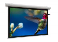 Проекционный экран Projecta Elpro Concept 228x300 см Matte White (10103496)